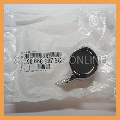 DS3 Remote Key Cap - Moondust (966669879Q)