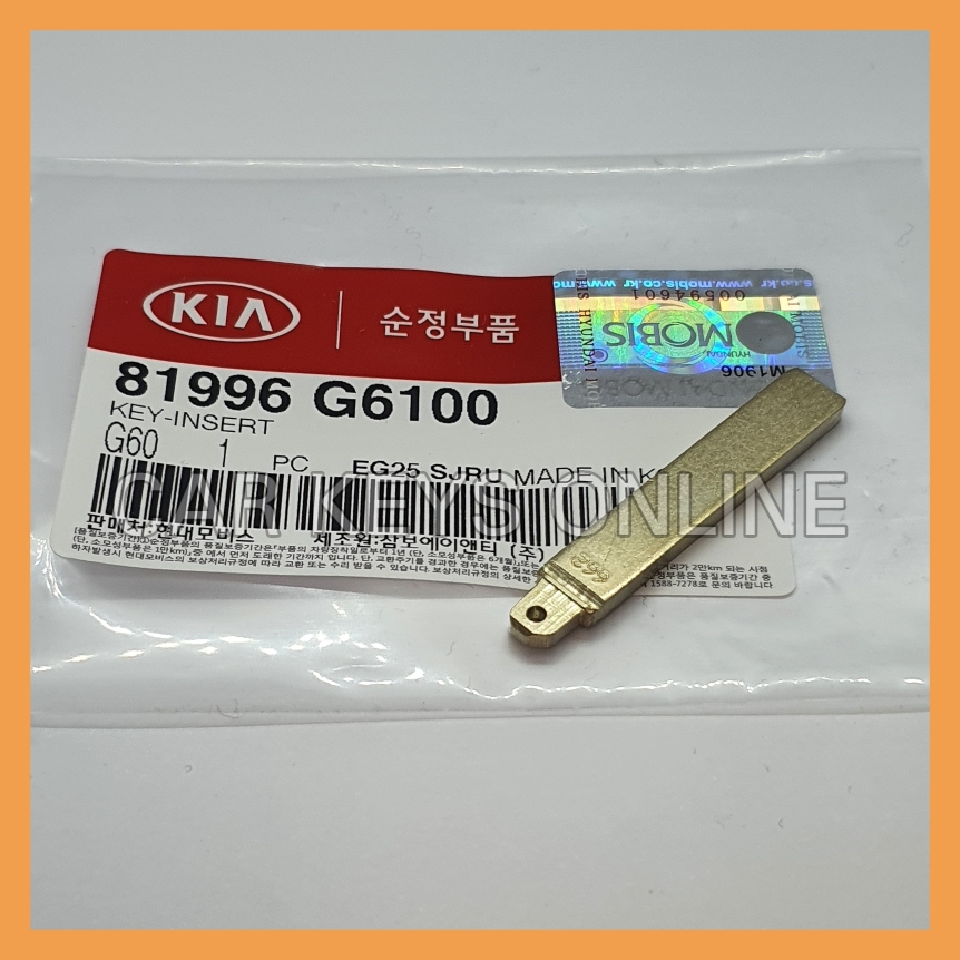 Genuine Kia Remote Key Insert (81996-G6100)